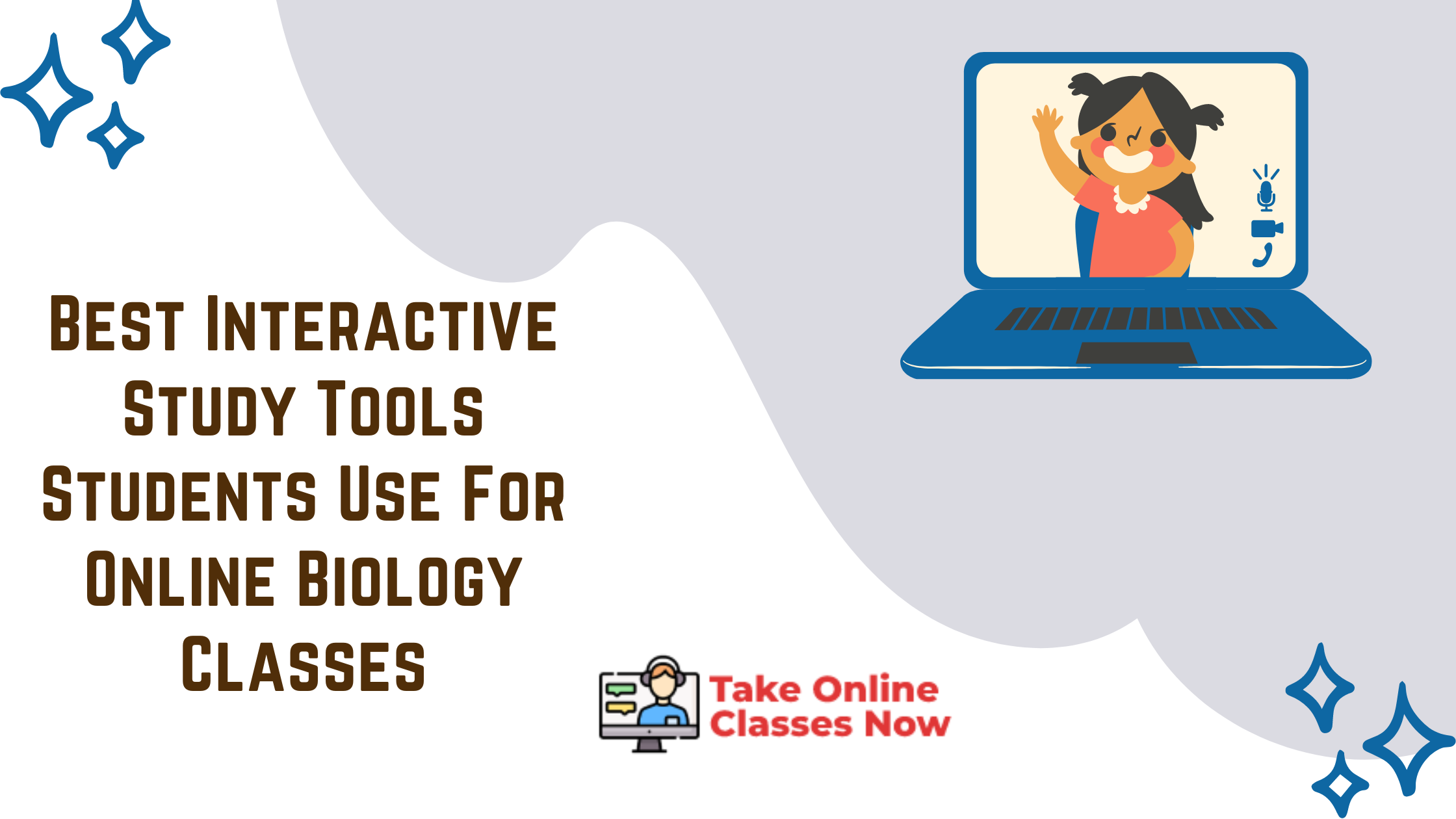 Best Interactive Study Tools Students Use For Online Biology Classes